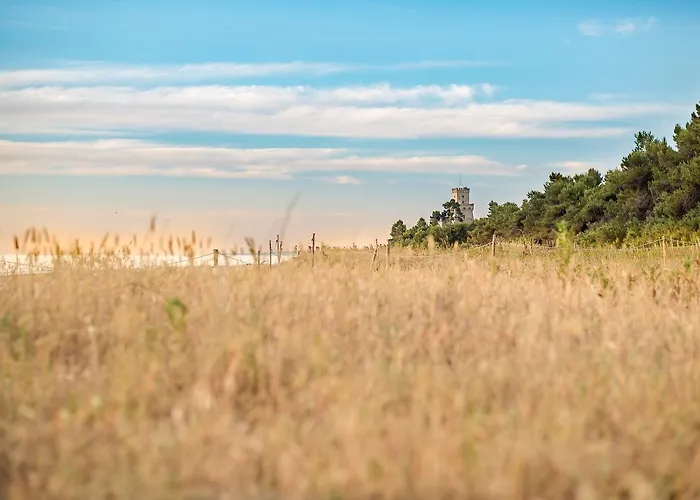 Stella Marina Silvi Сильви-Марина